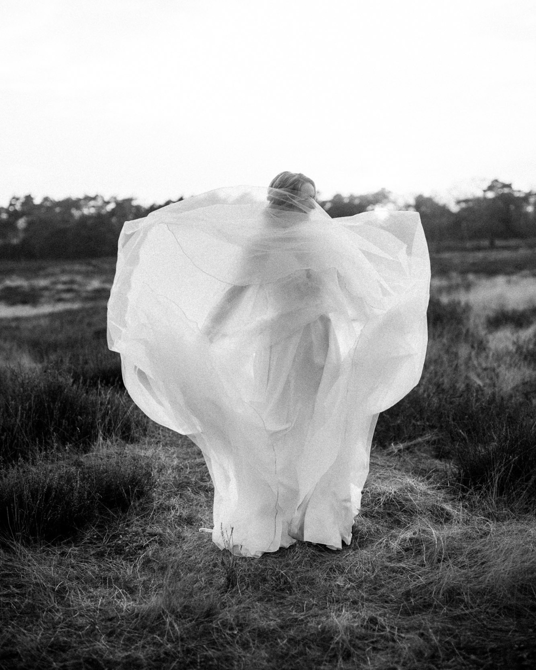 Custom Design Hochzeitsschilder